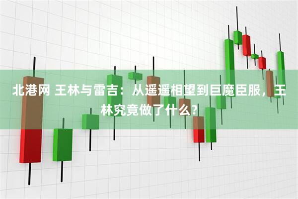 北港网 王林与雷吉：从遥遥相望到巨魔臣服，王林究竟做了什么？
