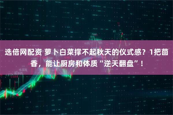 选倍网配资 萝卜白菜撑不起秋天的仪式感？1把茴香，能让厨房和体质“逆天翻盘”！