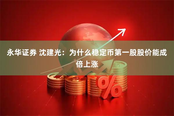 永华证券 沈建光：为什么稳定币第一股股价能成倍上涨