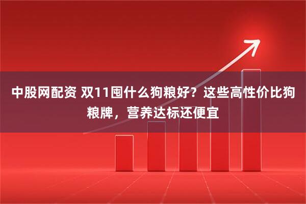 中股网配资 双11囤什么狗粮好？这些高性价比狗粮牌，营养达标还便宜